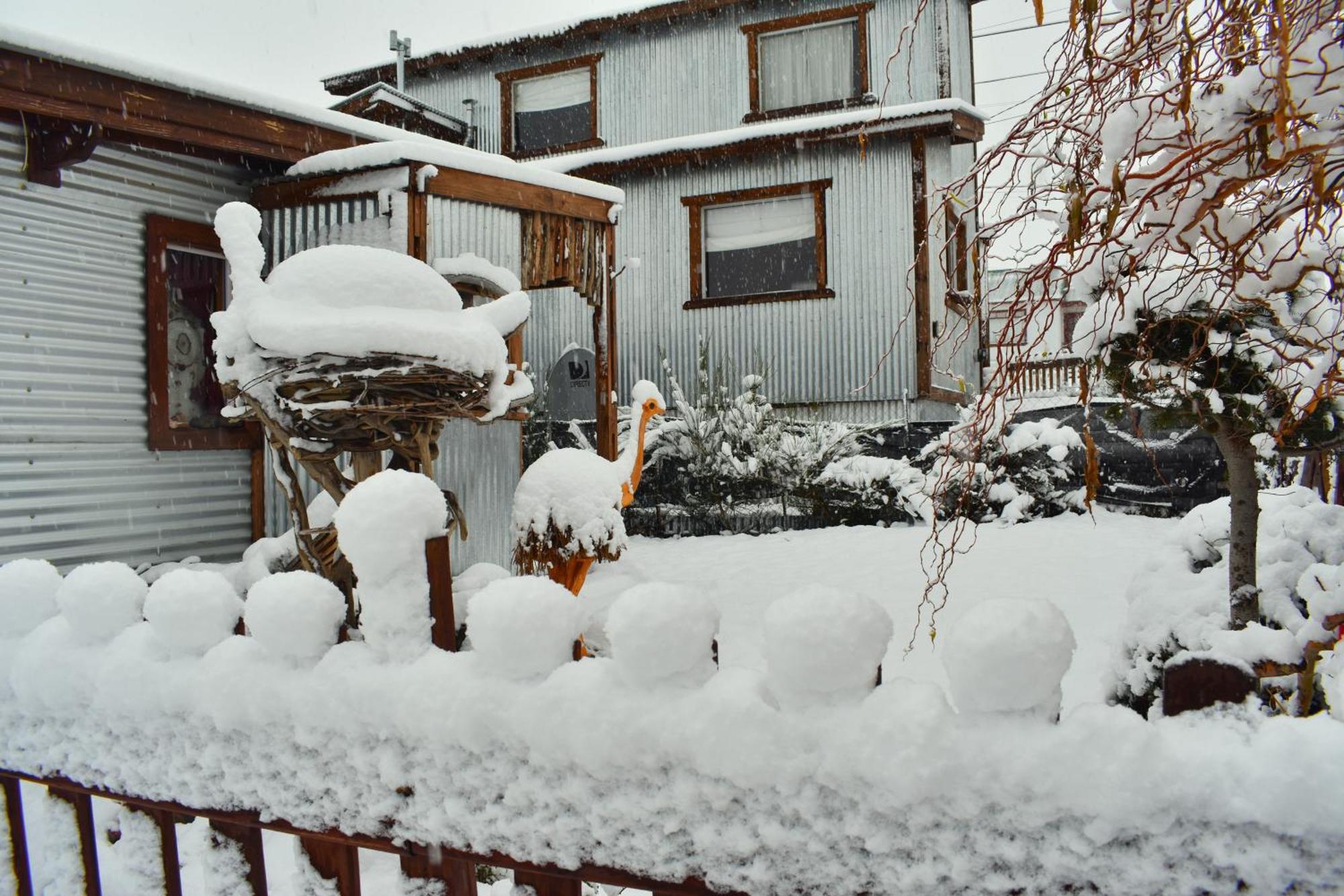 Nido De Luna El Calafate Exteriör bild